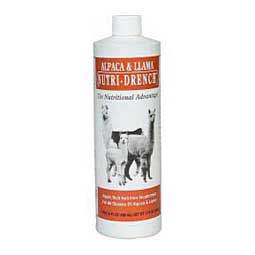 Alpaca & Llama Nutri-Drench  Bovidr Laboratories